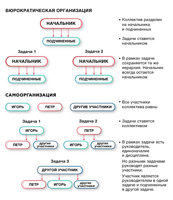 Самоорганизация